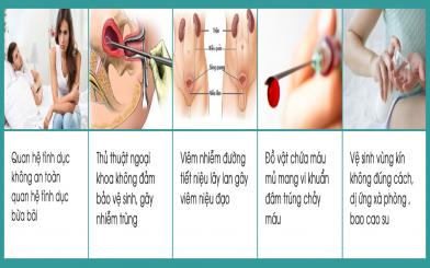 Một số nguyên nhân gây bệnh viêm niệu đạo