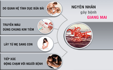 Nguyên nhân gây bệnh giang mai ở nữ giới