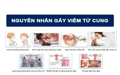 Những nguyên nhân hàng đầu dẫn đến viêm tử cung