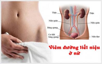 Những nguyên nhân gây bệnh viêm đường tiết niệu ở nữ giới