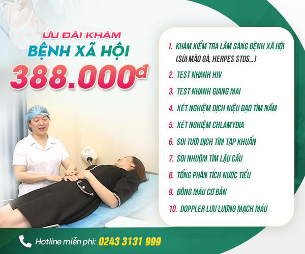 [Tổng hợp] Review đốt s&ugrave;i m&agrave;o g&agrave; chi tiết từ A-Z