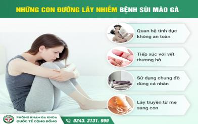 Tổng hợp những vấn đề cần hỏi đ&aacute;p về bệnh s&ugrave;i m&agrave;o g&agrave;